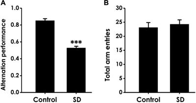 Inhibited Endogenous H2S Generation and Excessive Autophagy in Hippocampus Contribute to Sleep Deprivation-Induced Cognitive Impairment